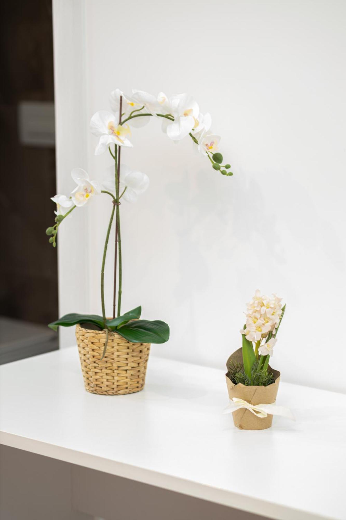 Suebi Rooms And Appartament تيرمولي المظهر الخارجي الصورة